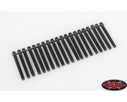 RC4WD Miniature Scale Hex Bolts M2 x 16mm Black RC4ZS1711