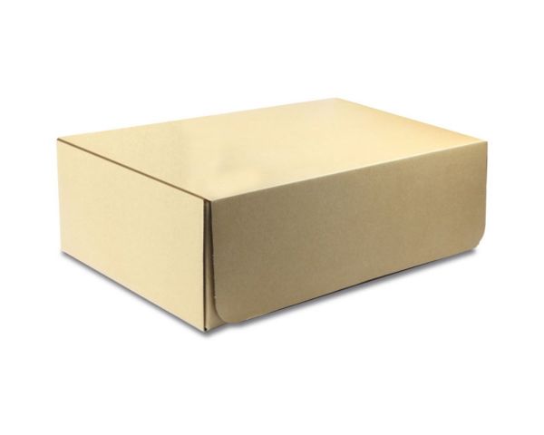 Robitronic Papp Austauschbox für R14010 R14010-1